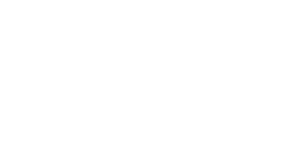 dvieluzavetajs.lv icon